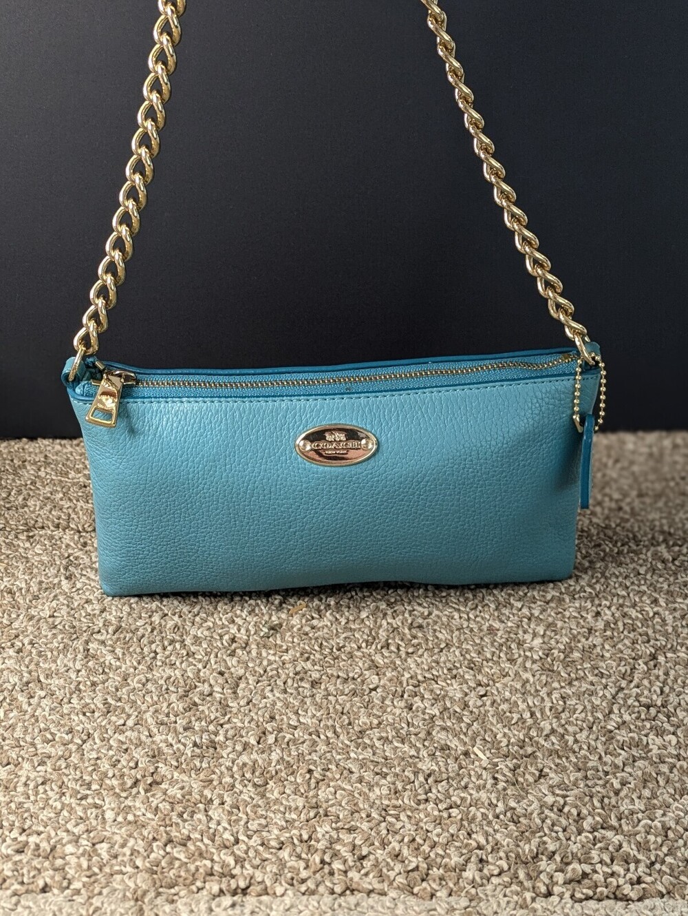 Coach Quinn Crossbody Bag Cadet Blue Pebble Leather Gold Chain Clutch Purse
